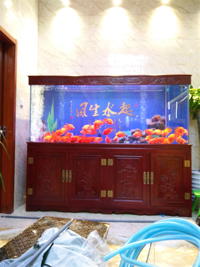 宁波龙鱼缸